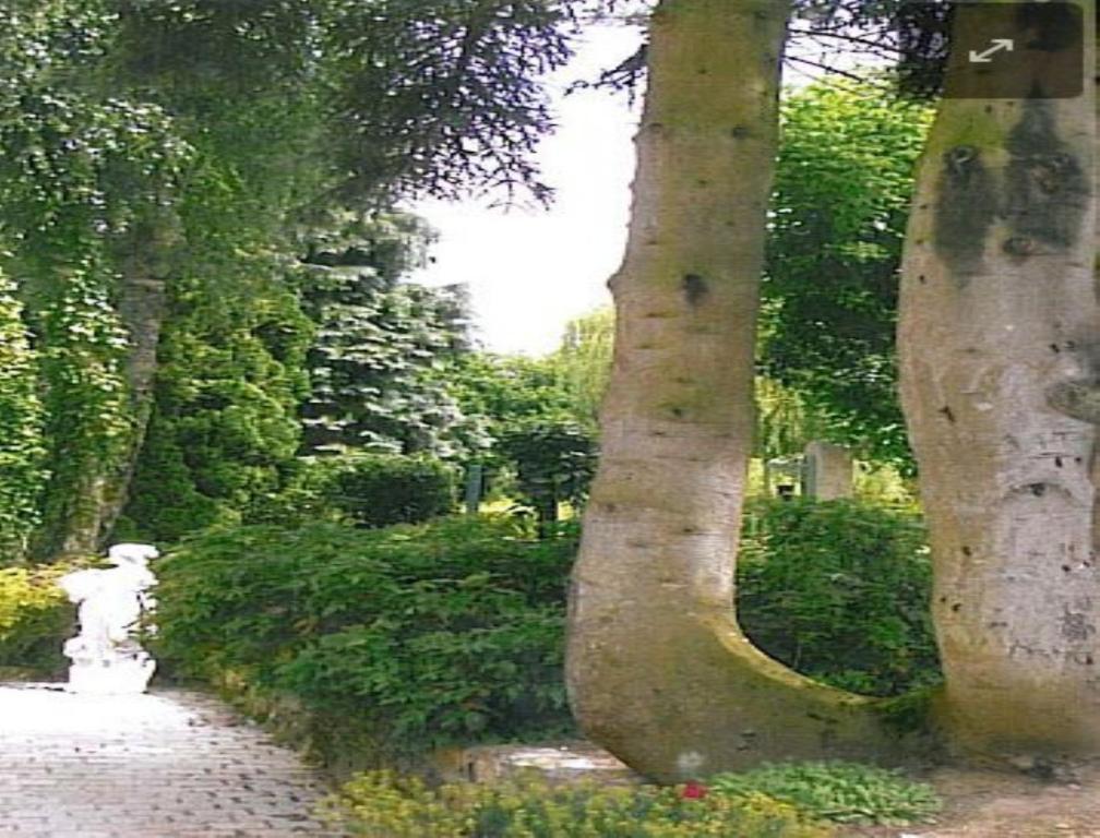7 , Le Haut Montraye Pacé Exterior foto